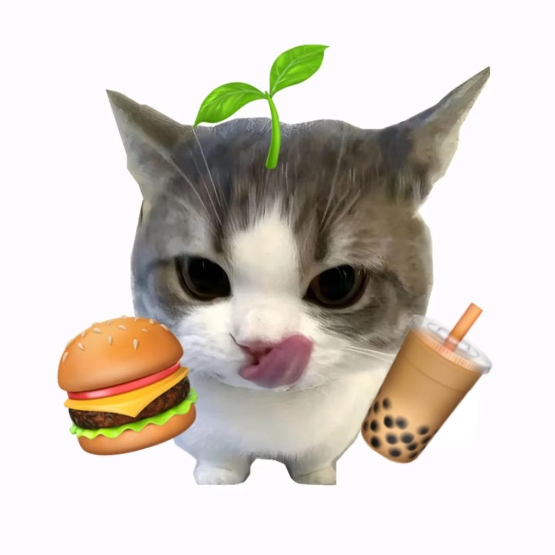 再也不熬夜