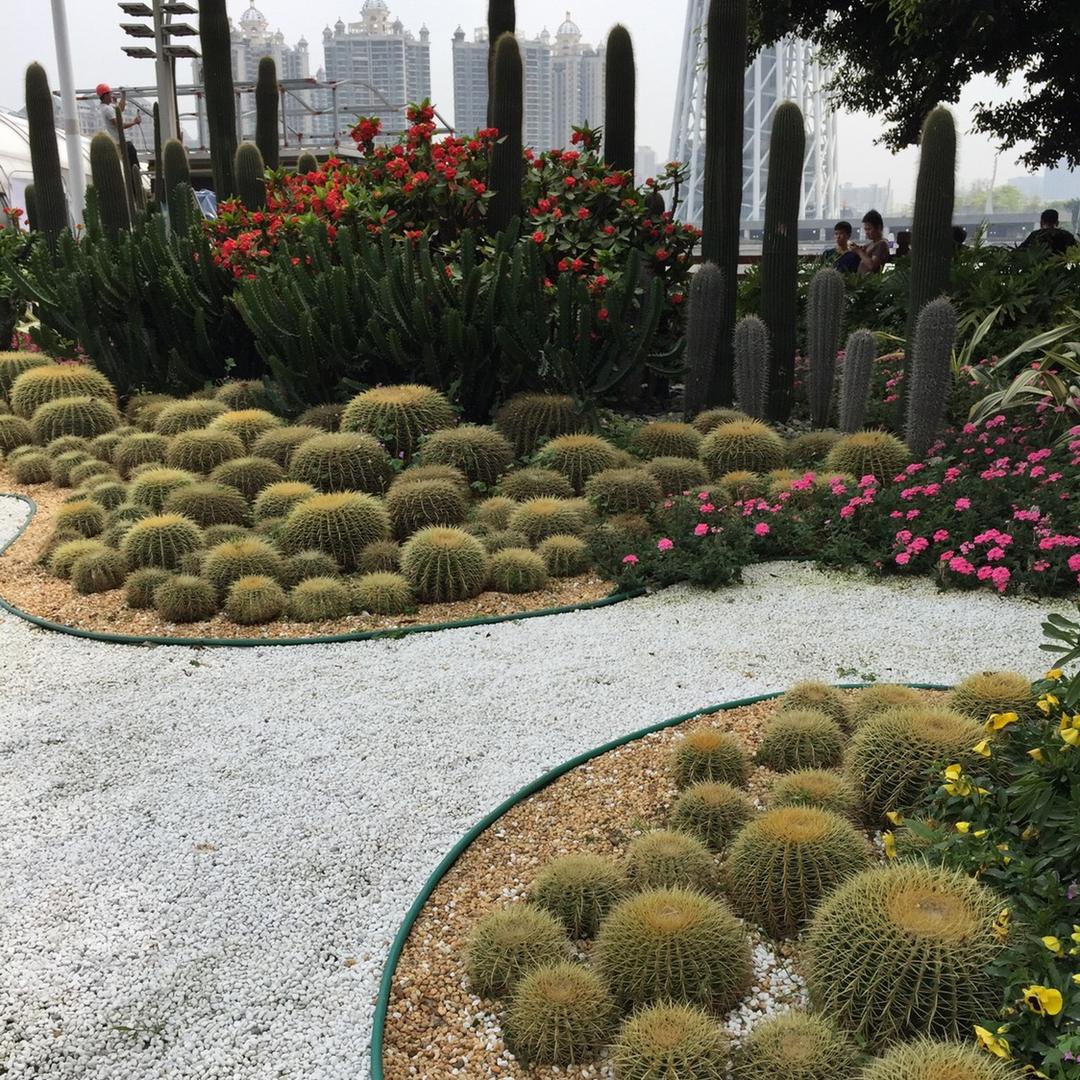 不言不语