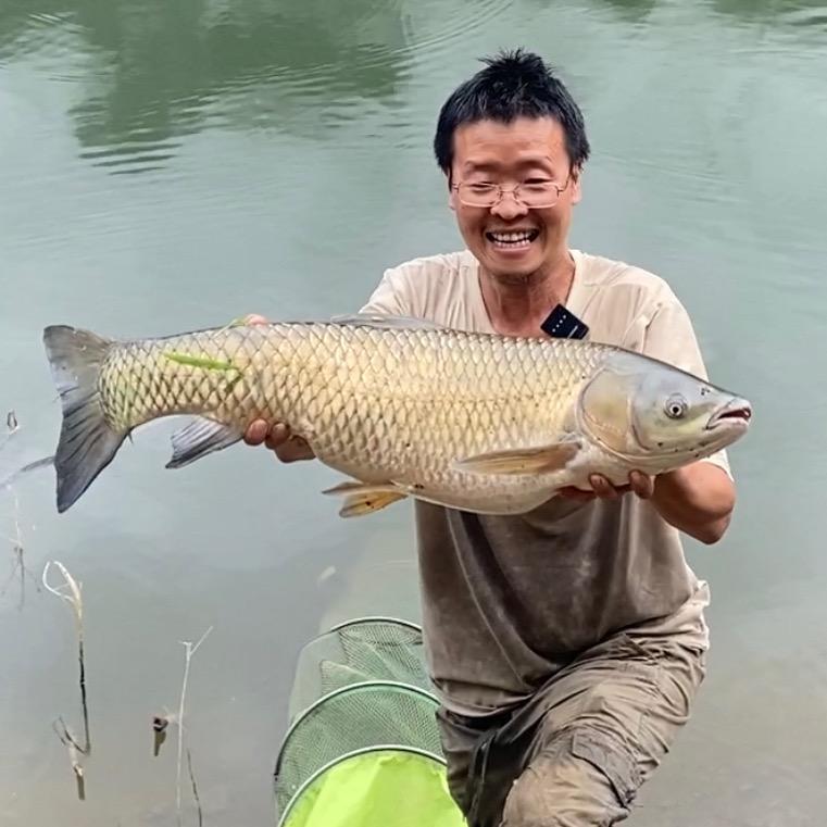 阳光钓鱼