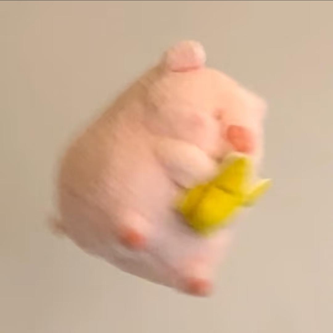 趙柔柔 ꪔ