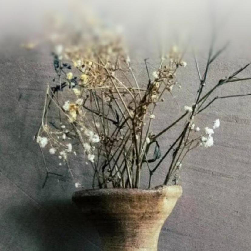 @《莣优草》🌱