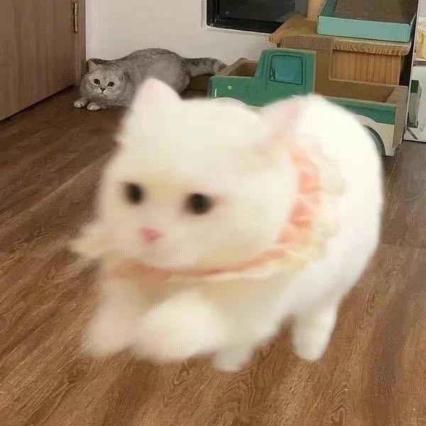晓晓零食铺
