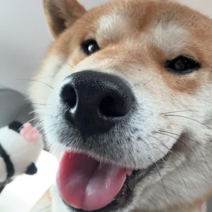 哈哈