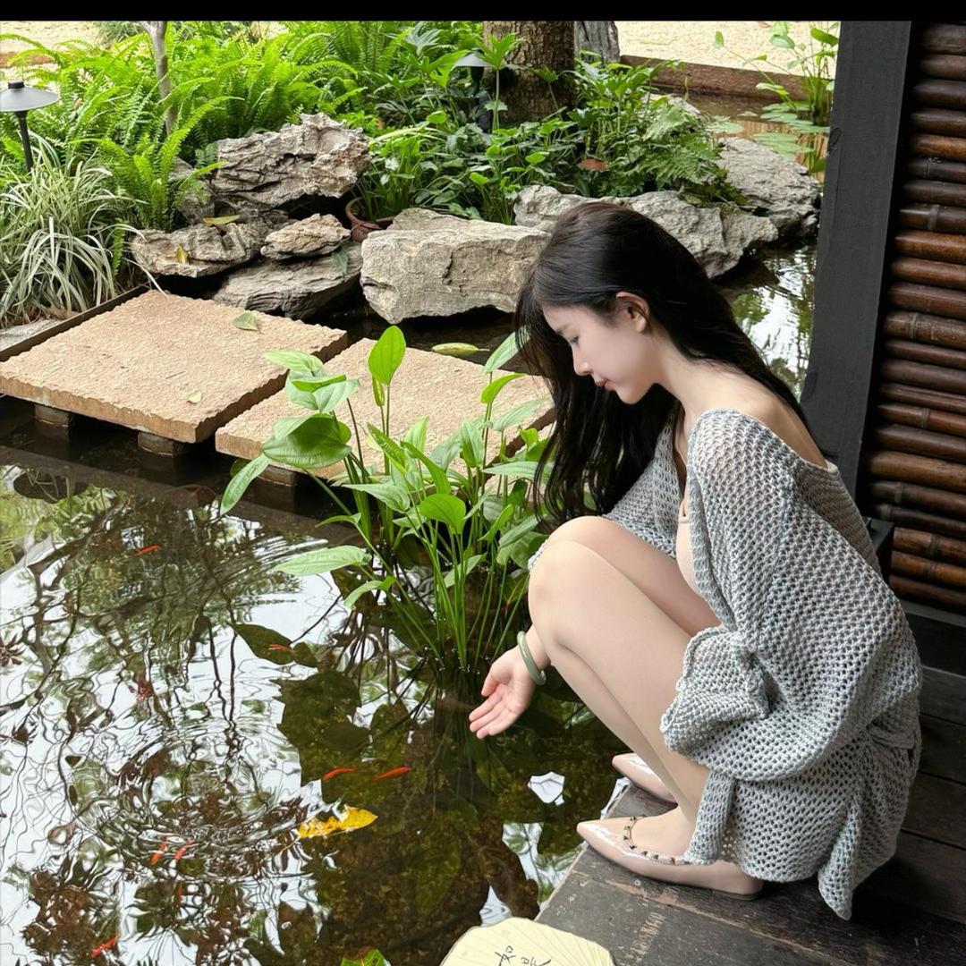臻臻