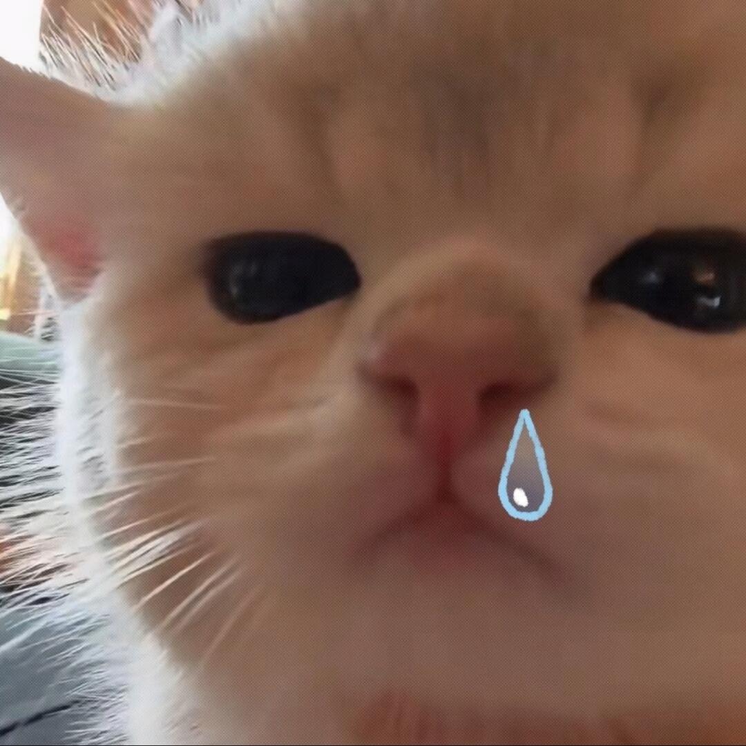 什么琪