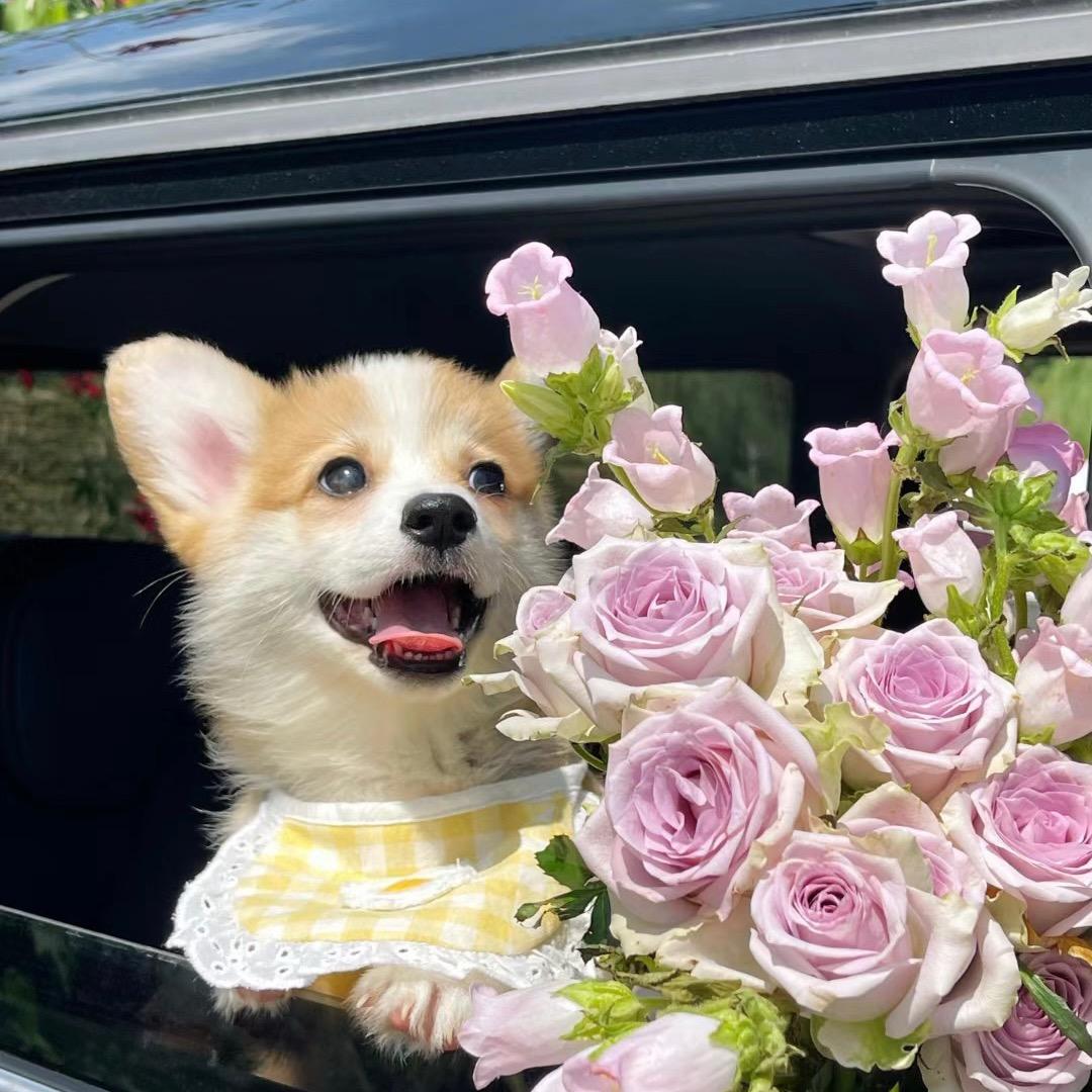 ～小幸运🥰