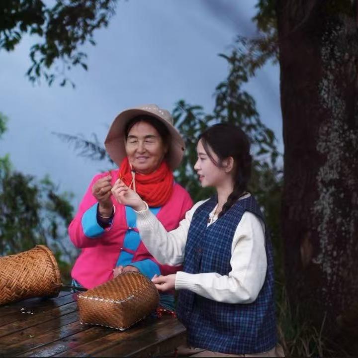 黎向晚