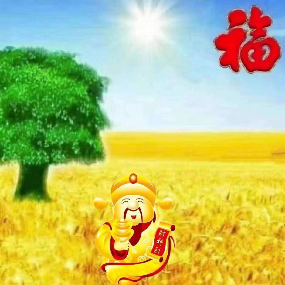 大媛儿