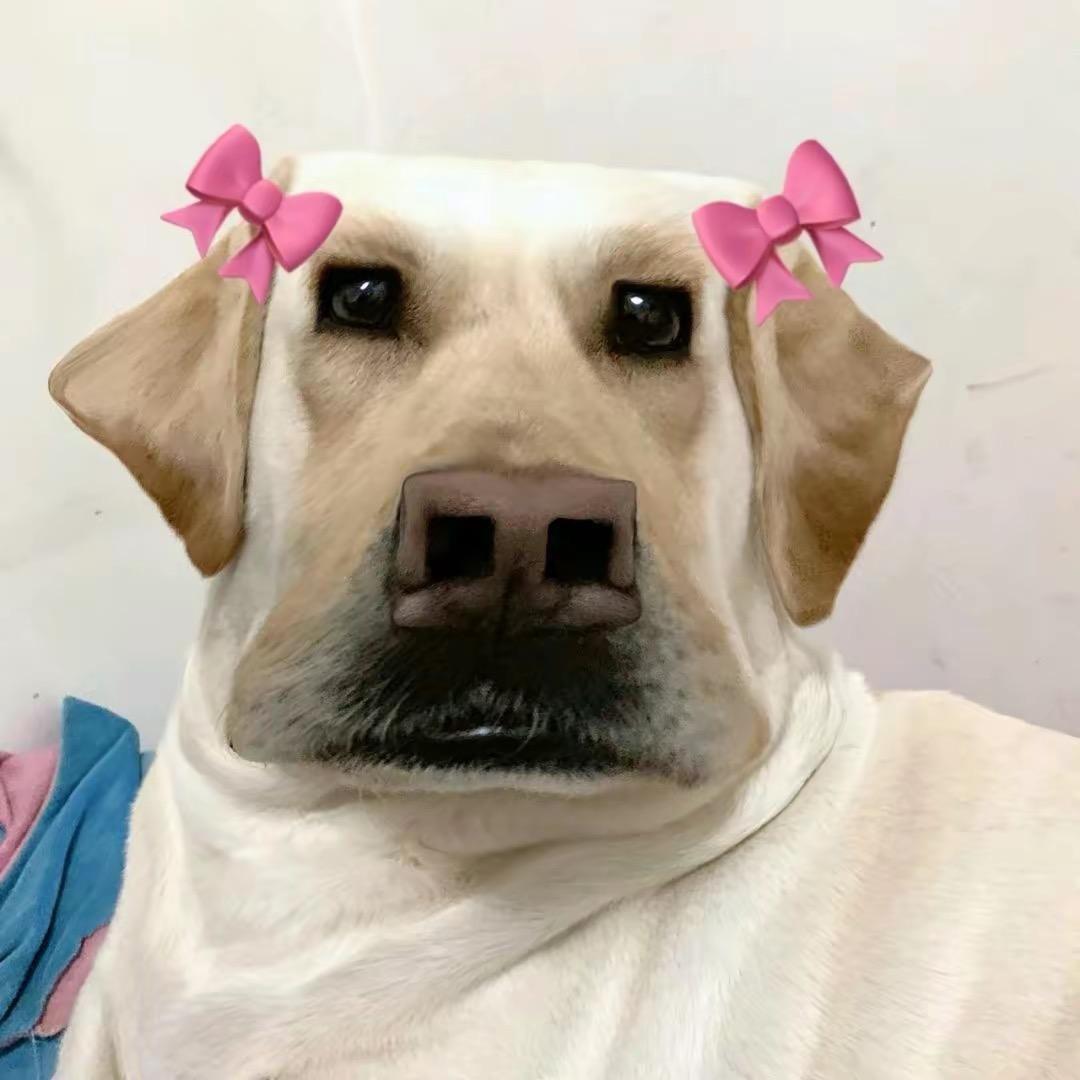 疯狂小奶糖