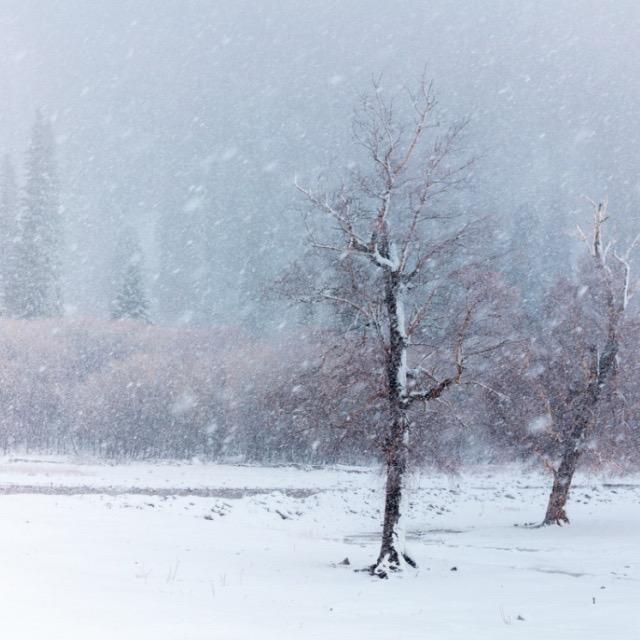 边等郝运自然来