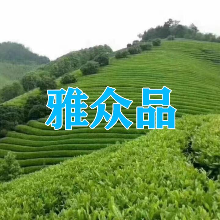 小李茶叶（绿茶原产地）