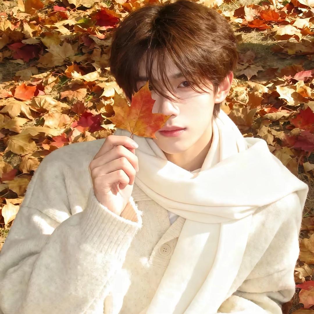 小y