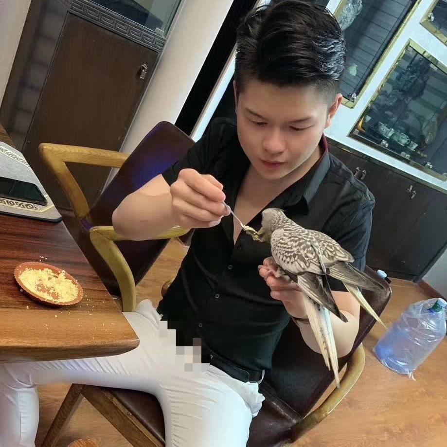 十年之约cheng