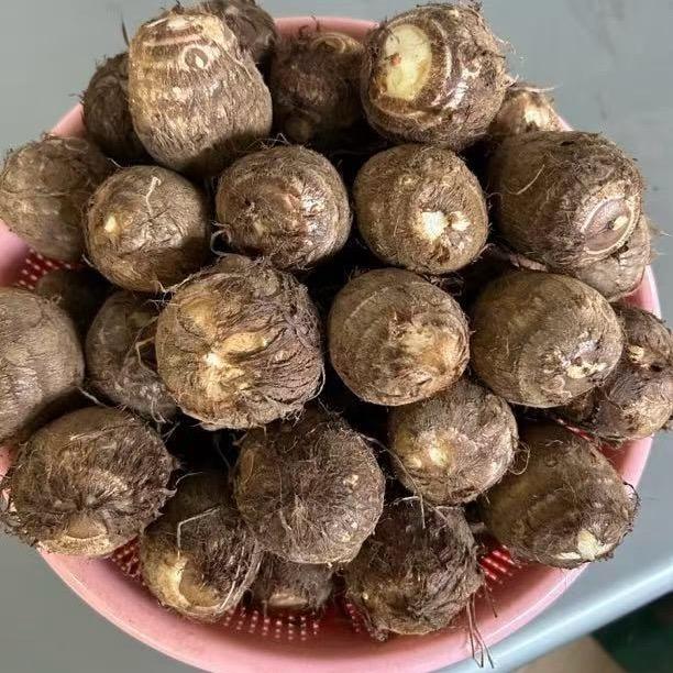 鸿盈农产鲜果园