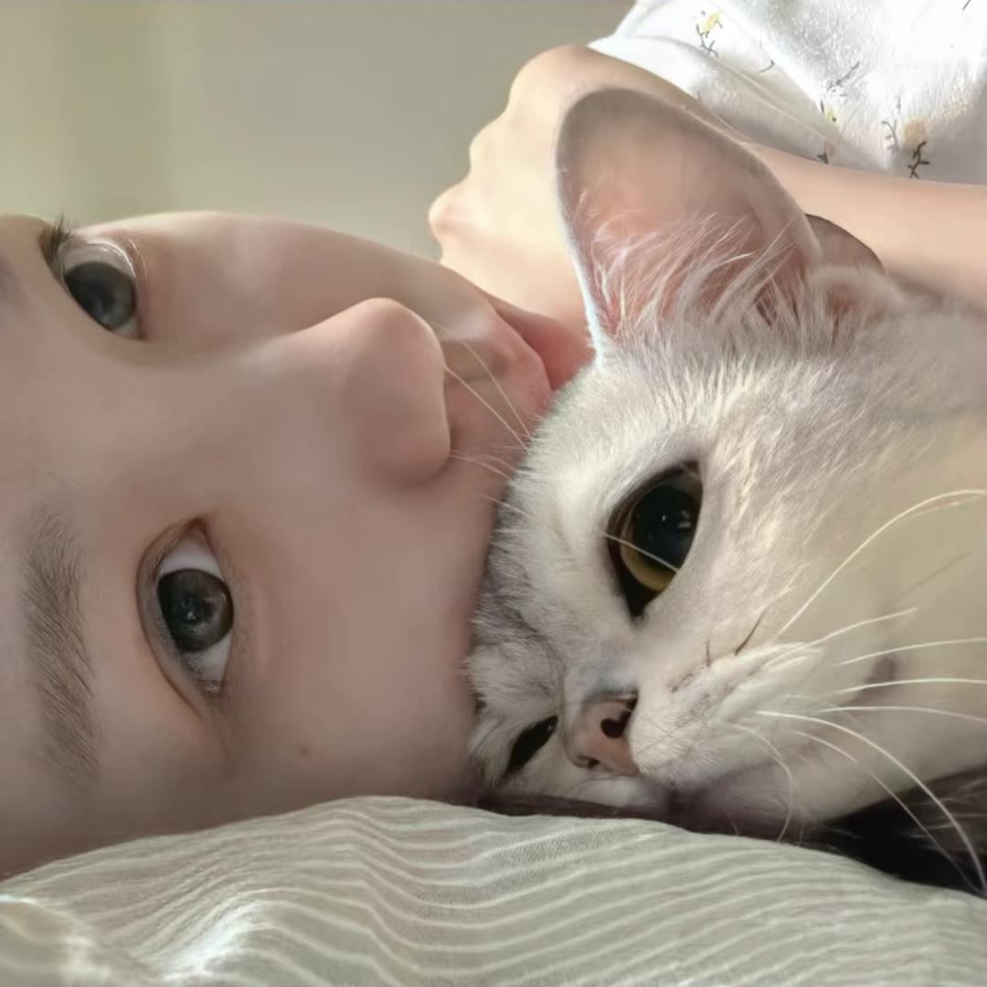 怪将军/•᷅•᷄\୭