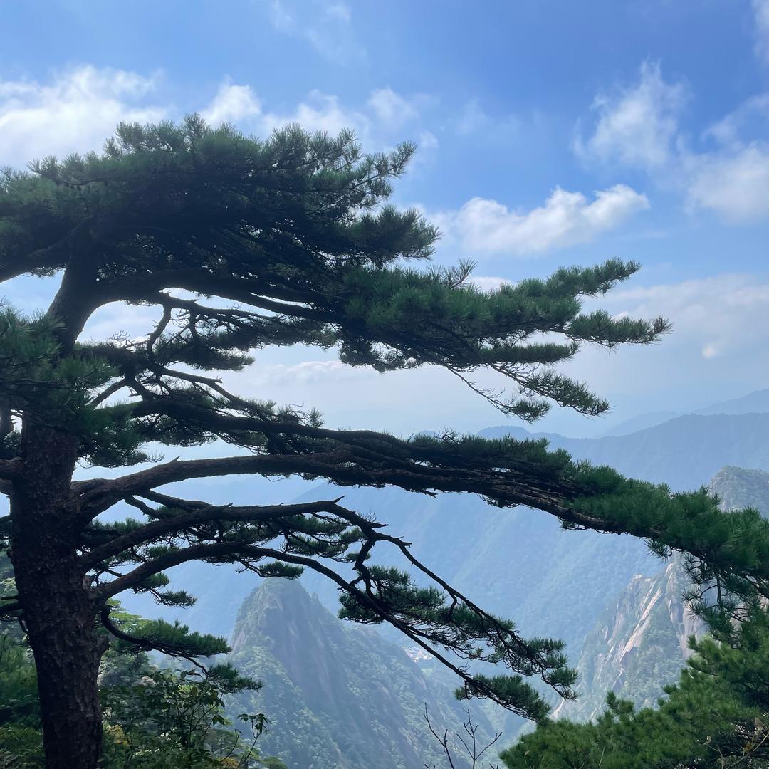 坤逸