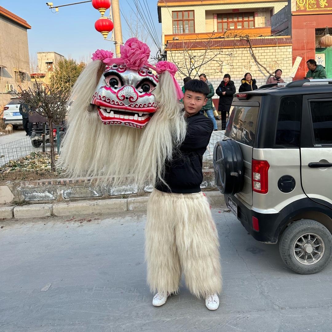 山东醉美小白狮磊磊（醉狮）