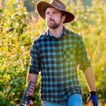 比利时泰桑德乐