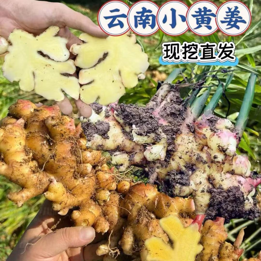 罗平小黄姜生鲜铺