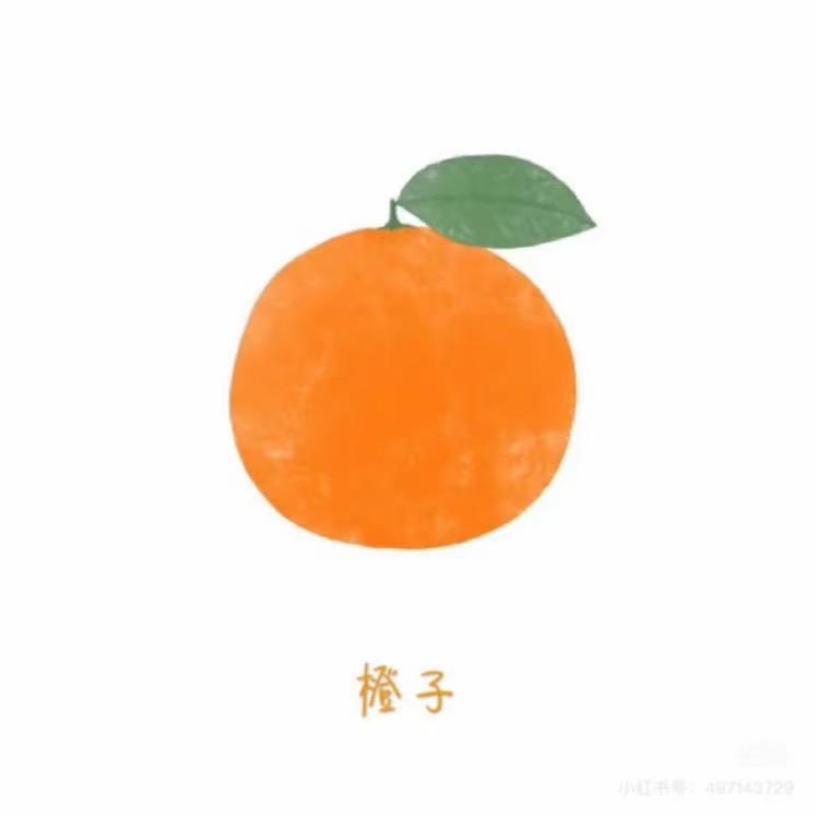 果粒陈🍊