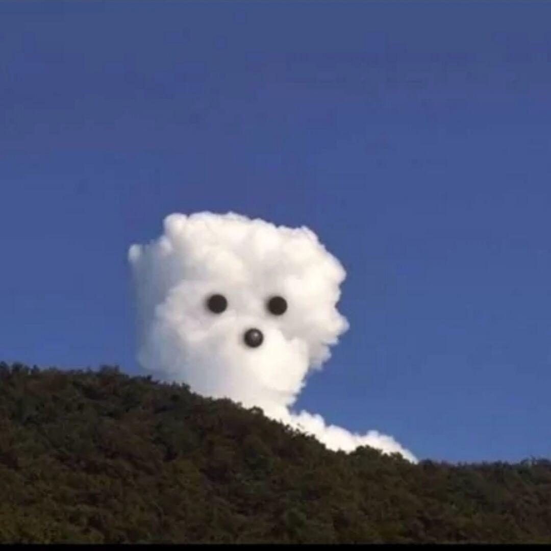 DUKE男士理发馆·十一