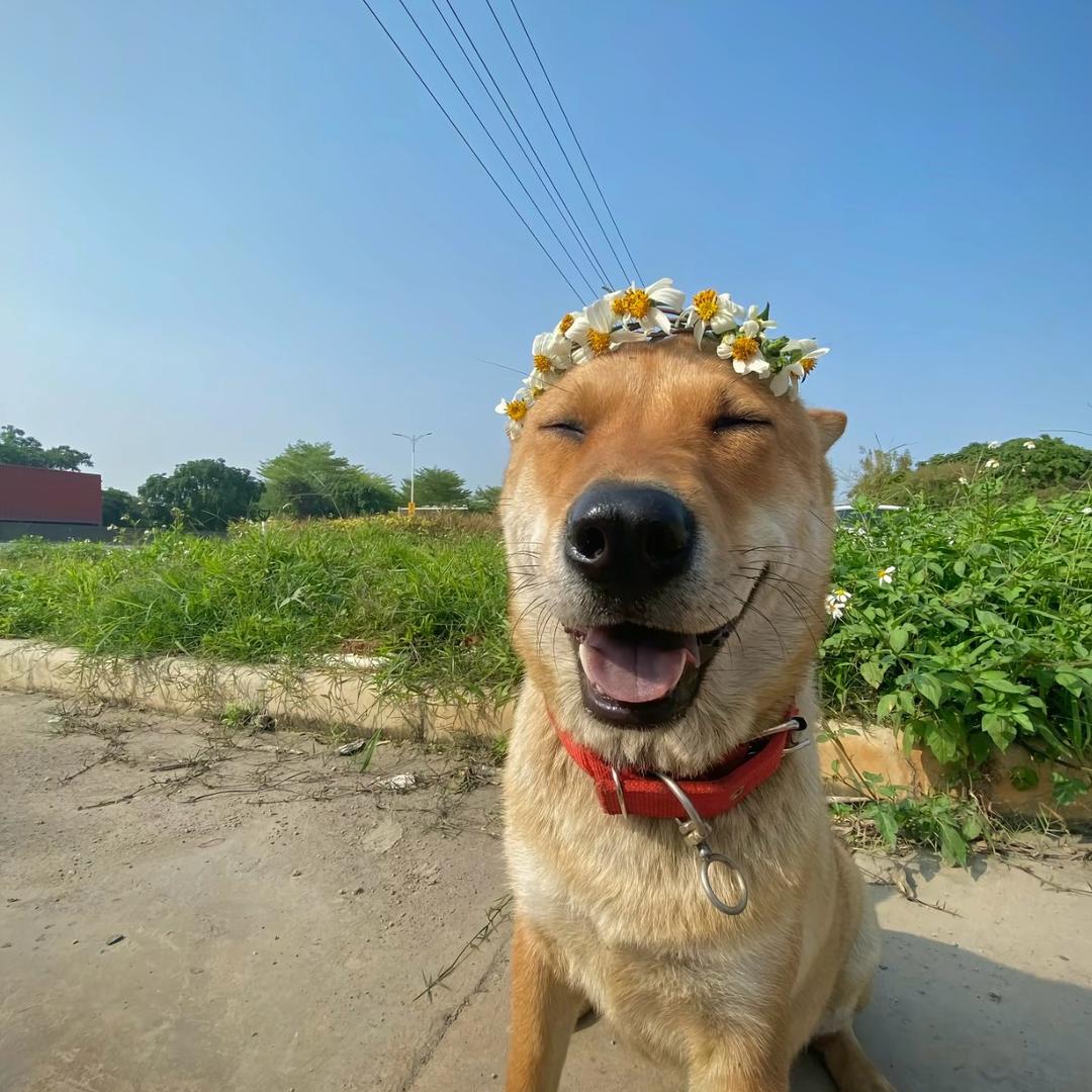 世界和平！