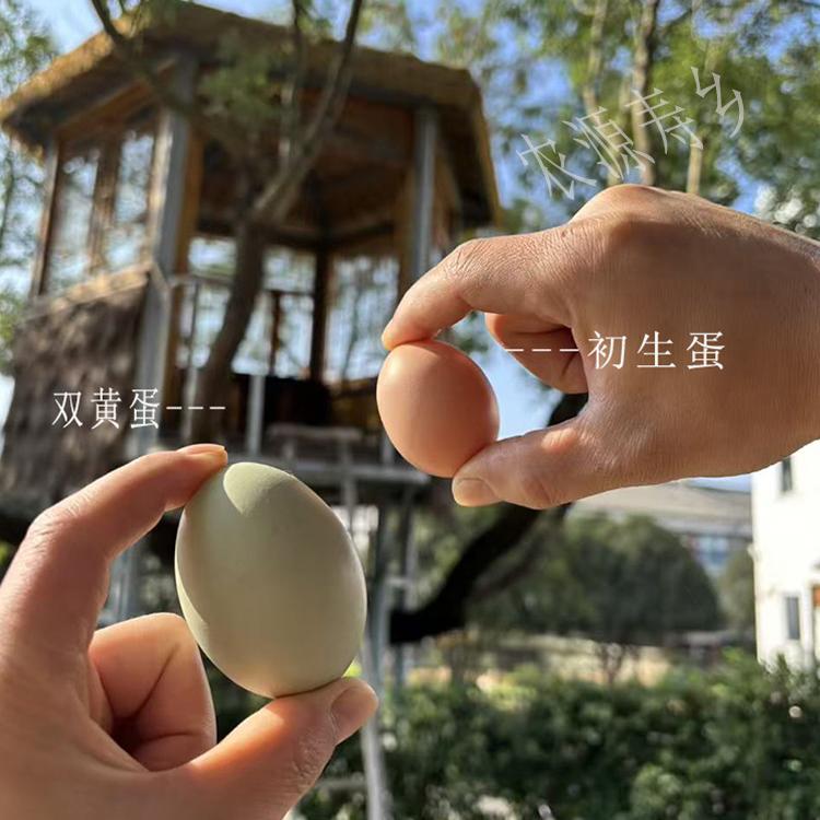 农源寿乡农村合作社