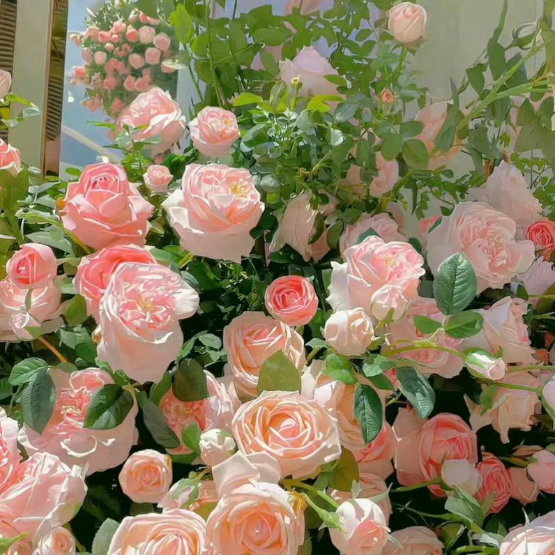 源老板