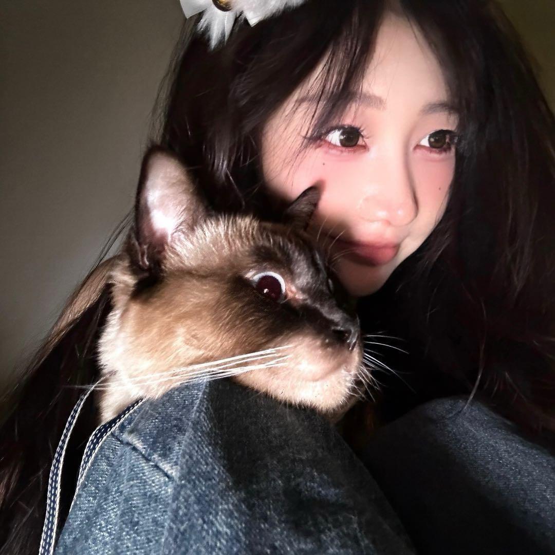 CC斑马🎸