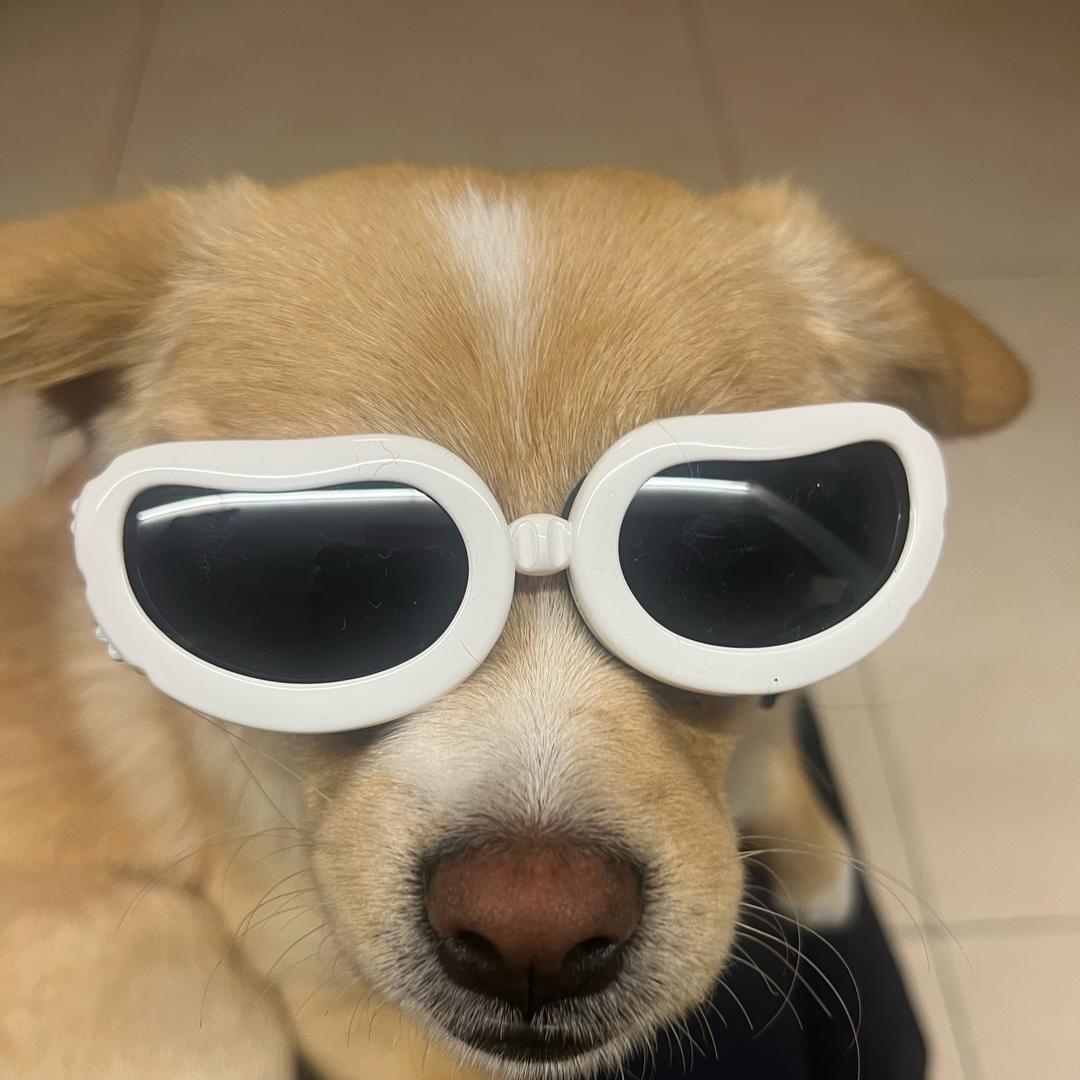 卓玛