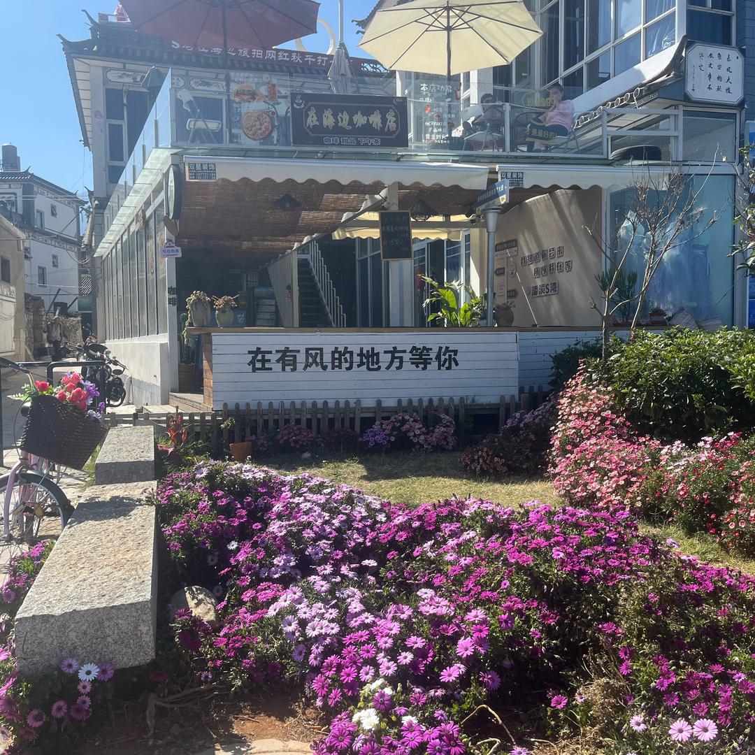 音乐达人z