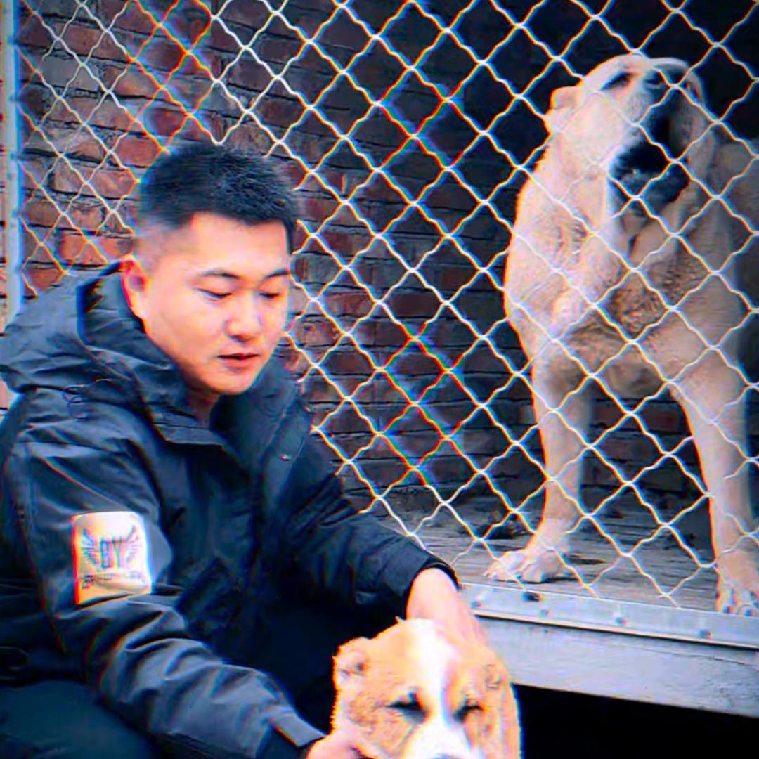 东弘工作犬繁育3