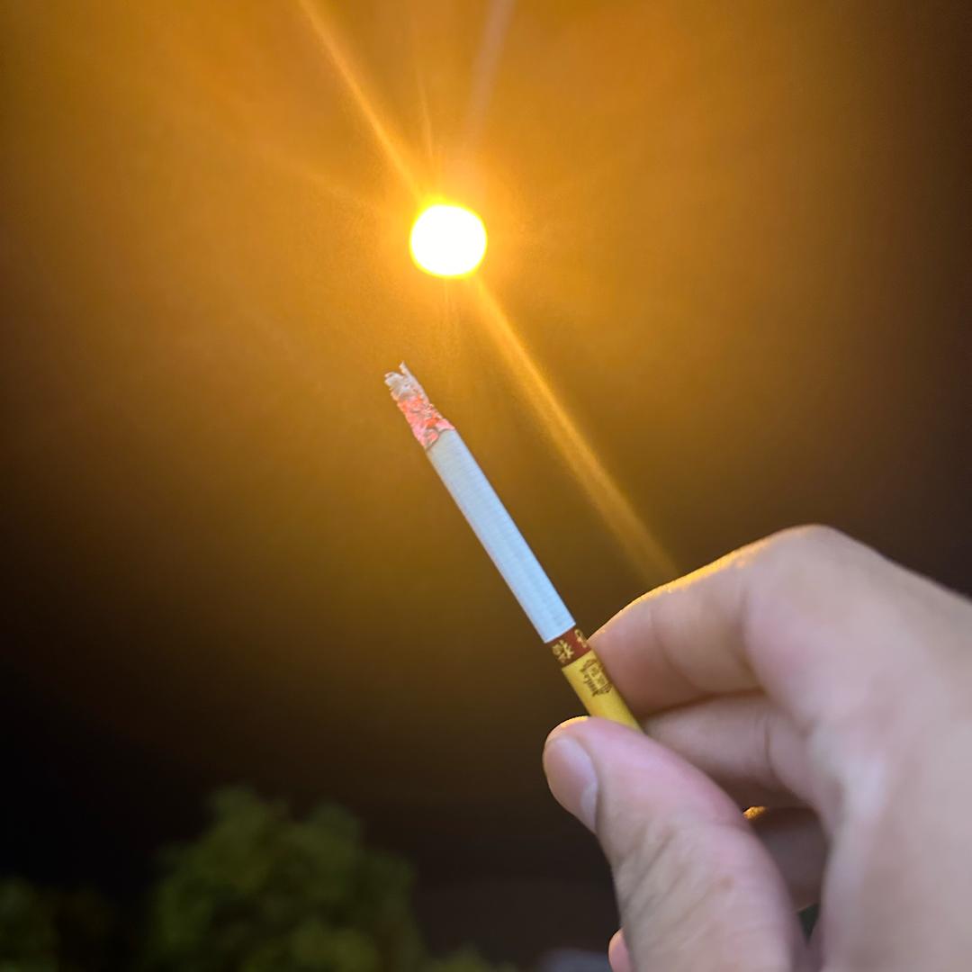 郑点