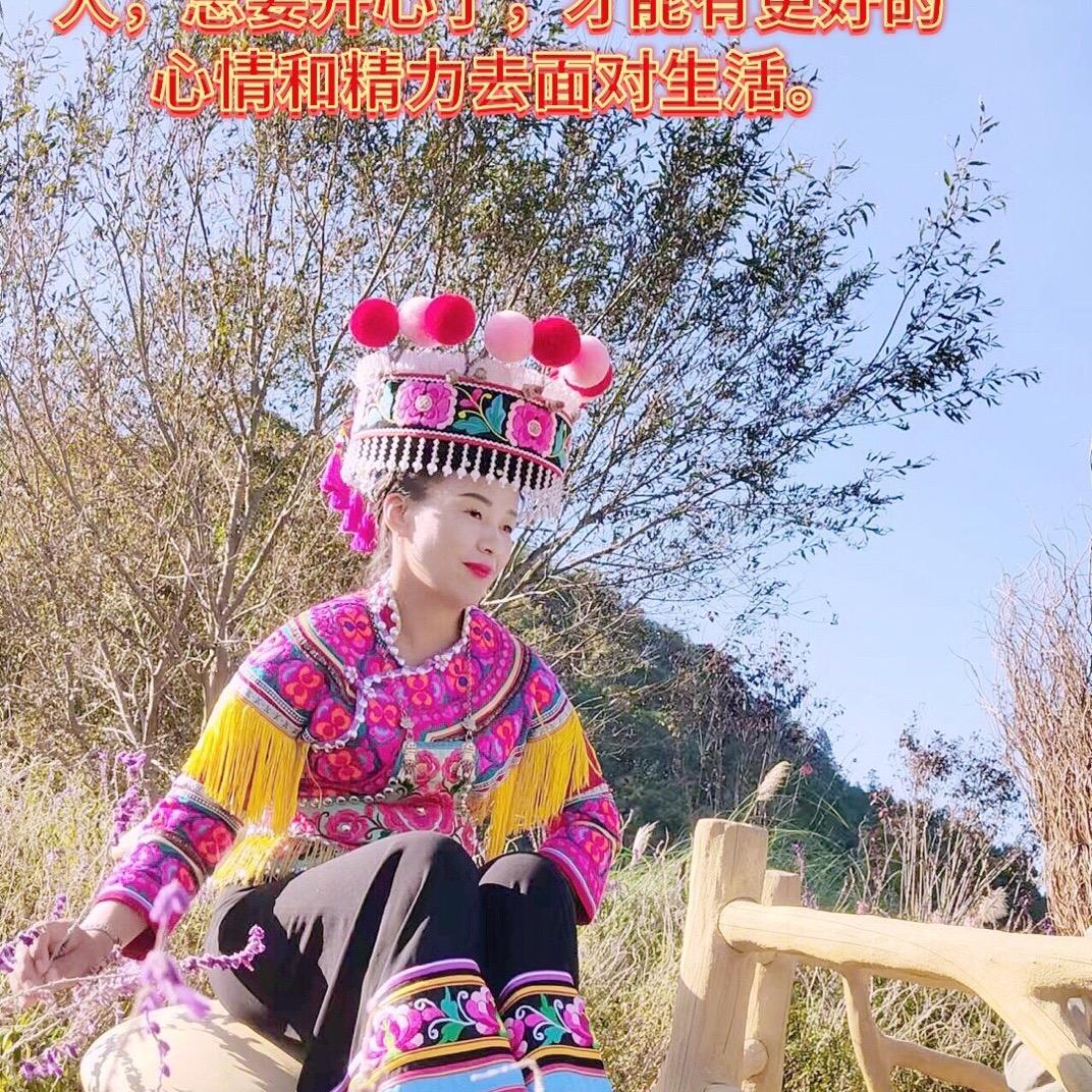 一岁一枝梅