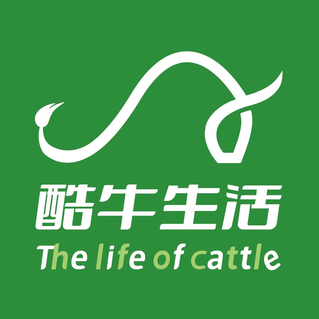 酷牛生活家政
