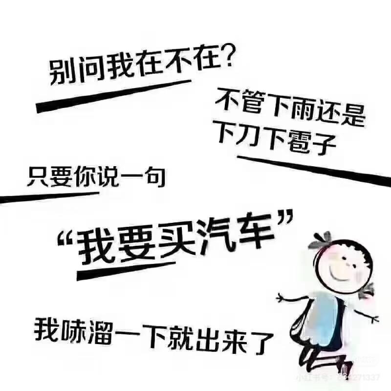卖汽车的小姐姐🚗