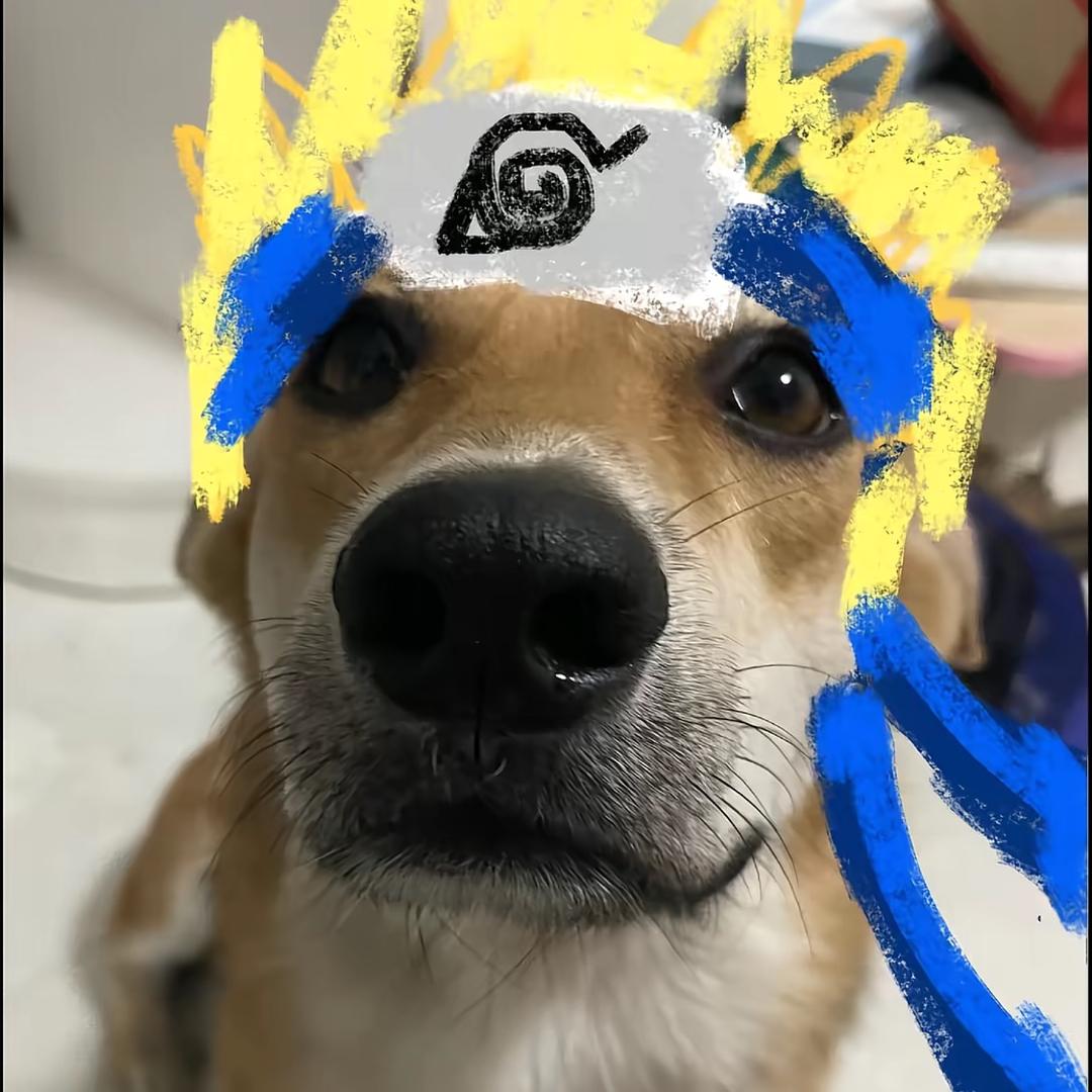 忧郁的木叶人