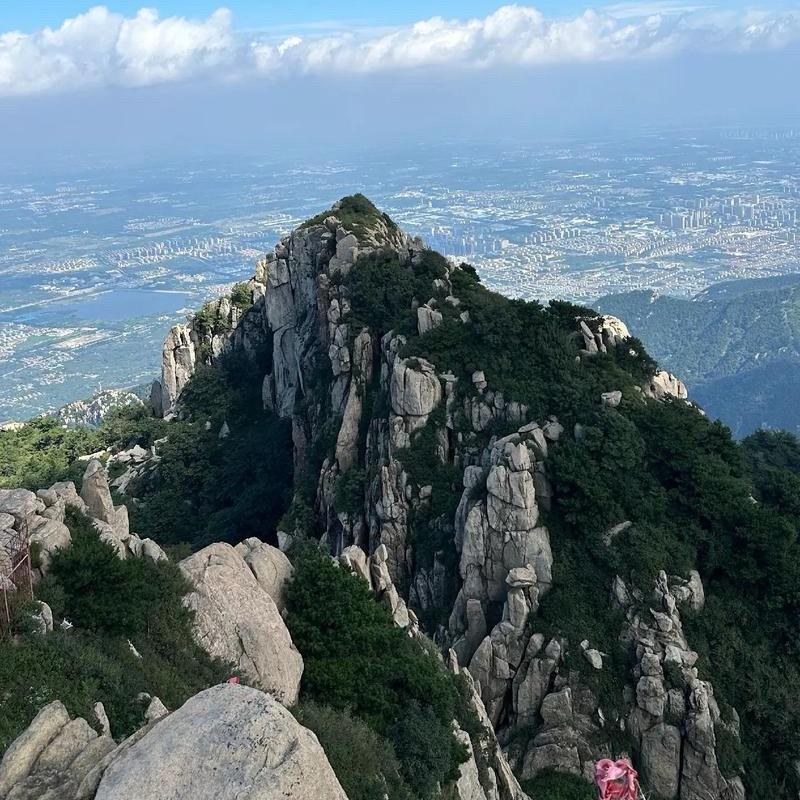 山高我为峰