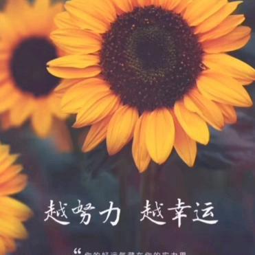 全南房产郭