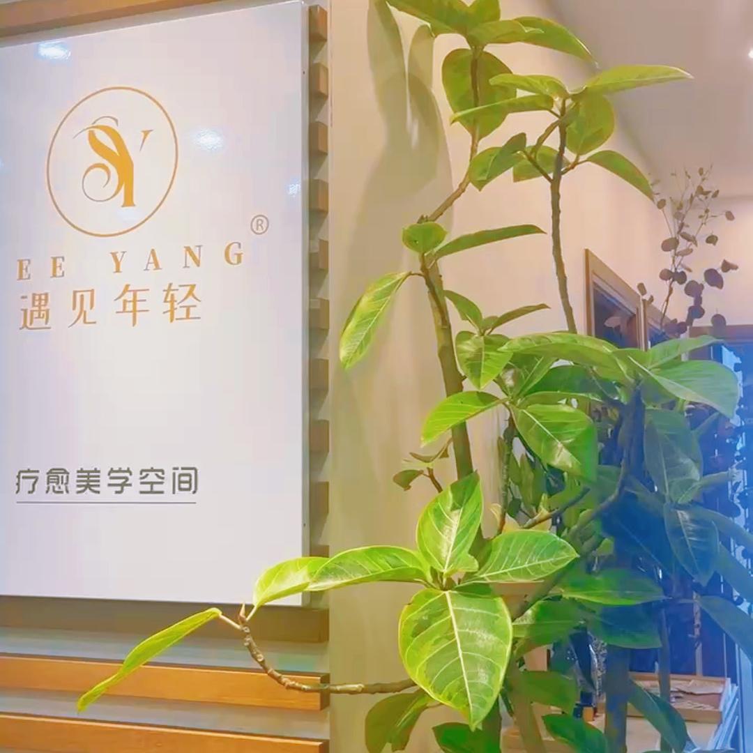 上海遇见年轻SEE YANG美容中心