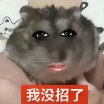 1️⃣1️⃣0️⃣2️⃣