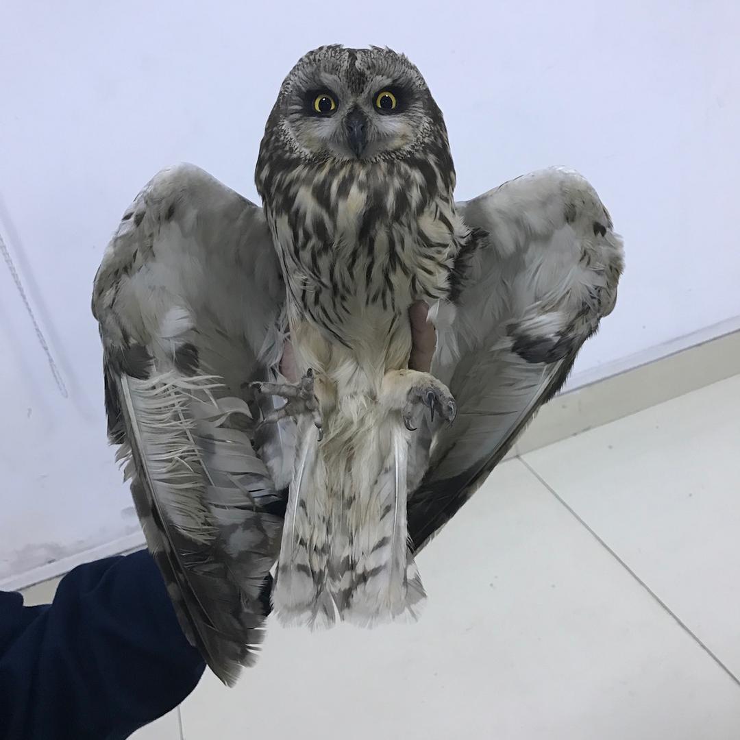 梦幻生活小铺iav