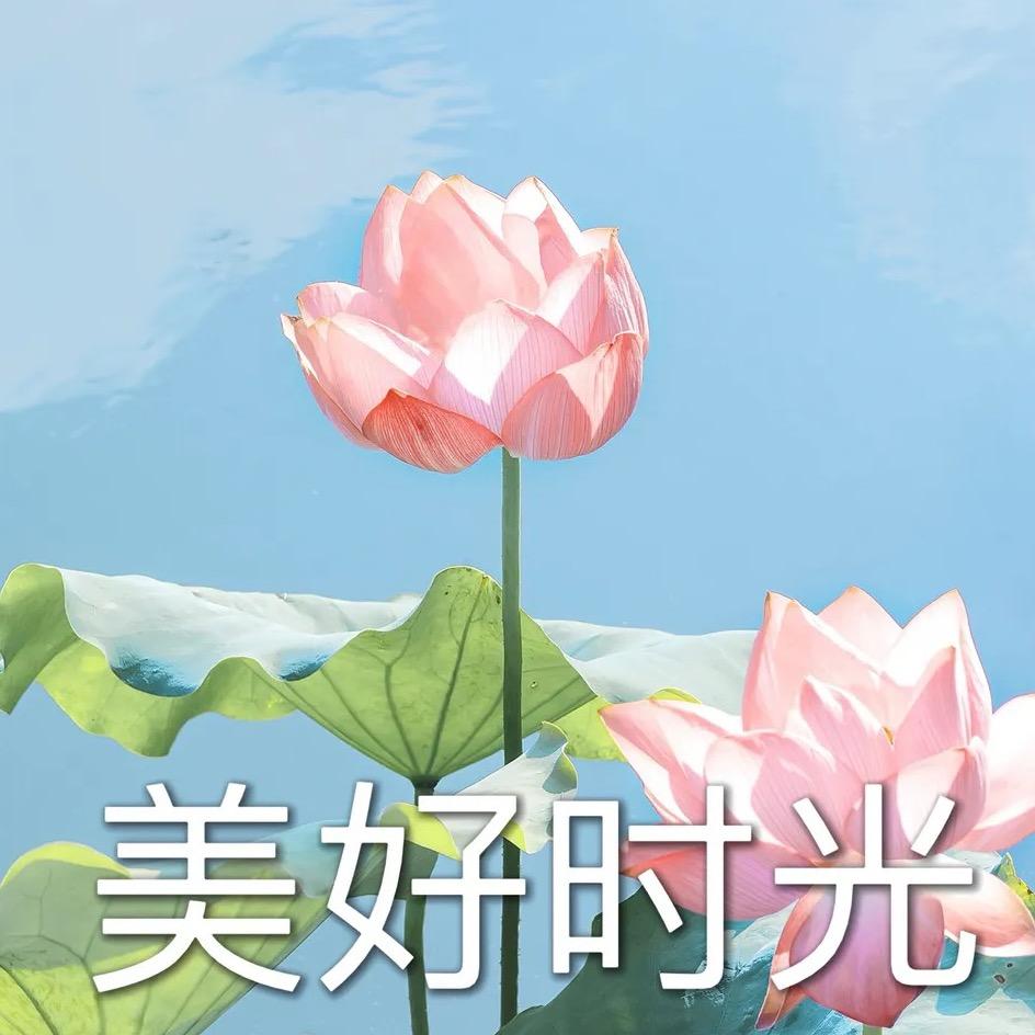 美好时光。