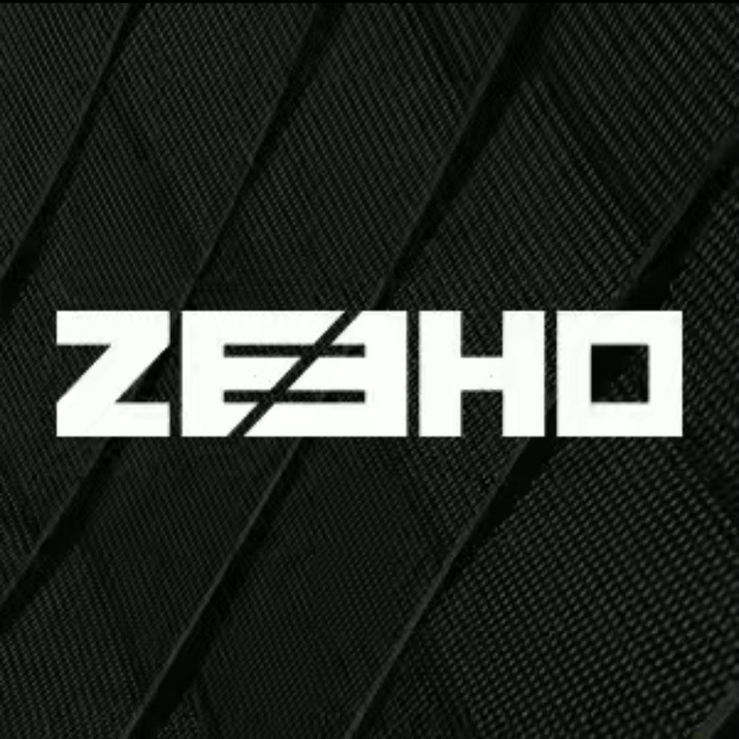 ZEEHO极核电动（杨柳青路店）