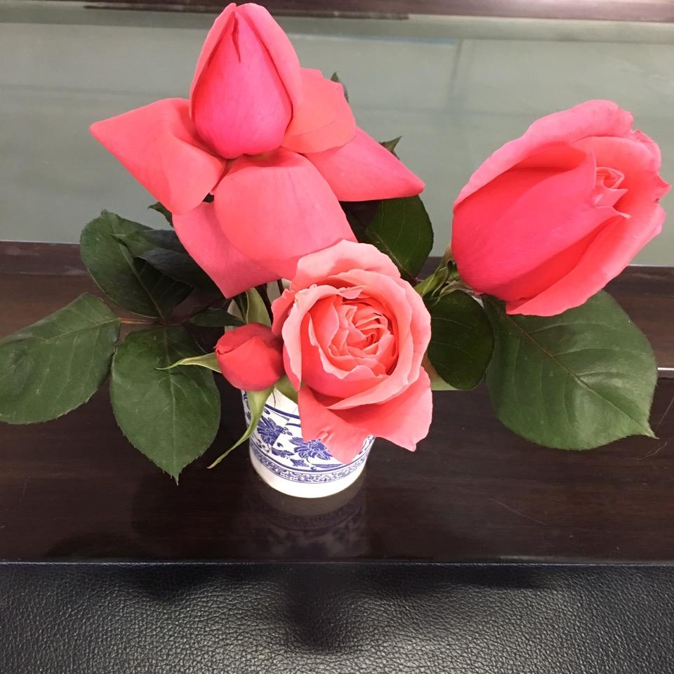 达达7777