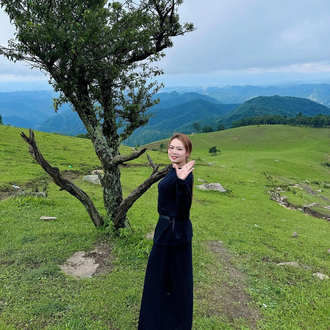 木子李  、