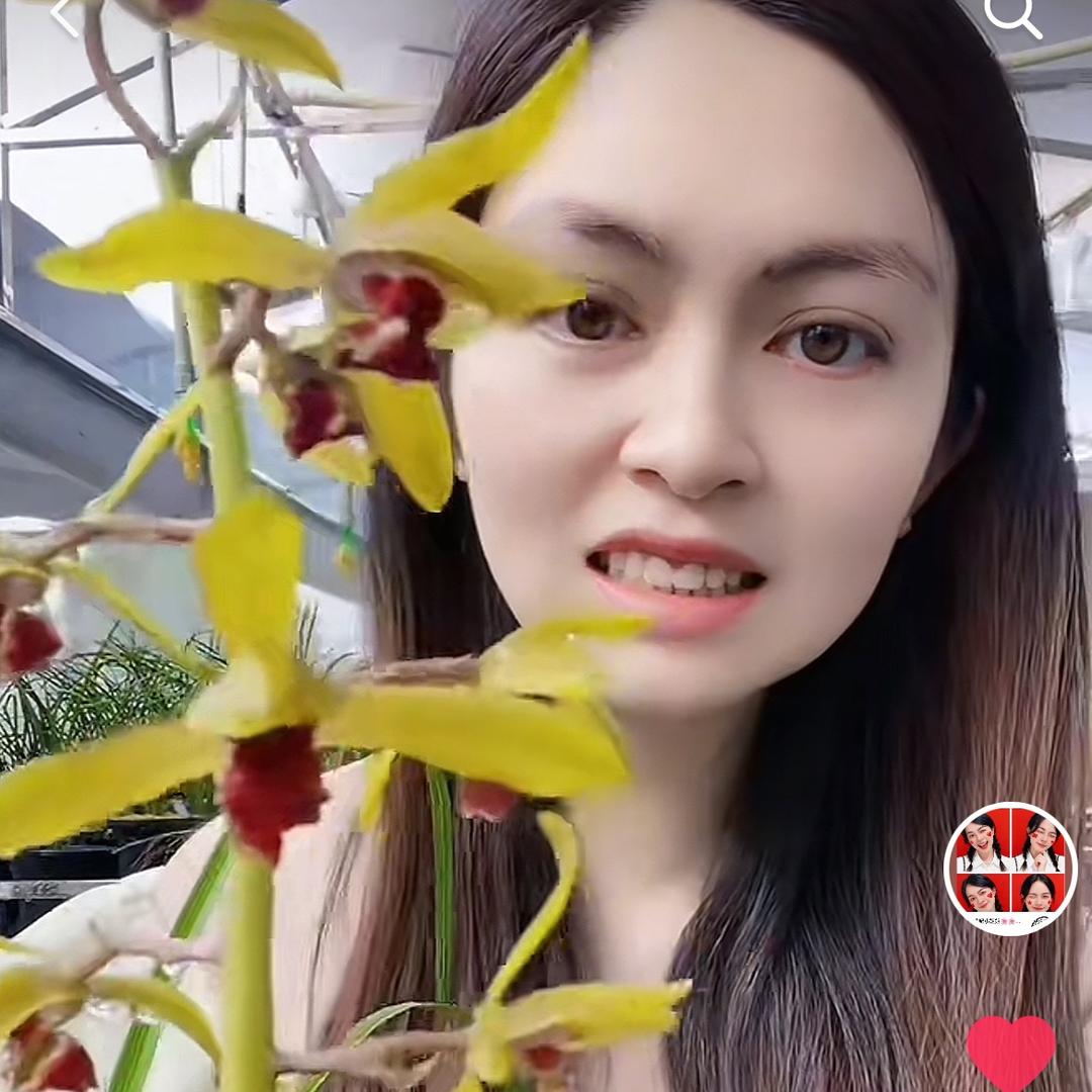 红香妃小姐姐🌸🌸秦芳