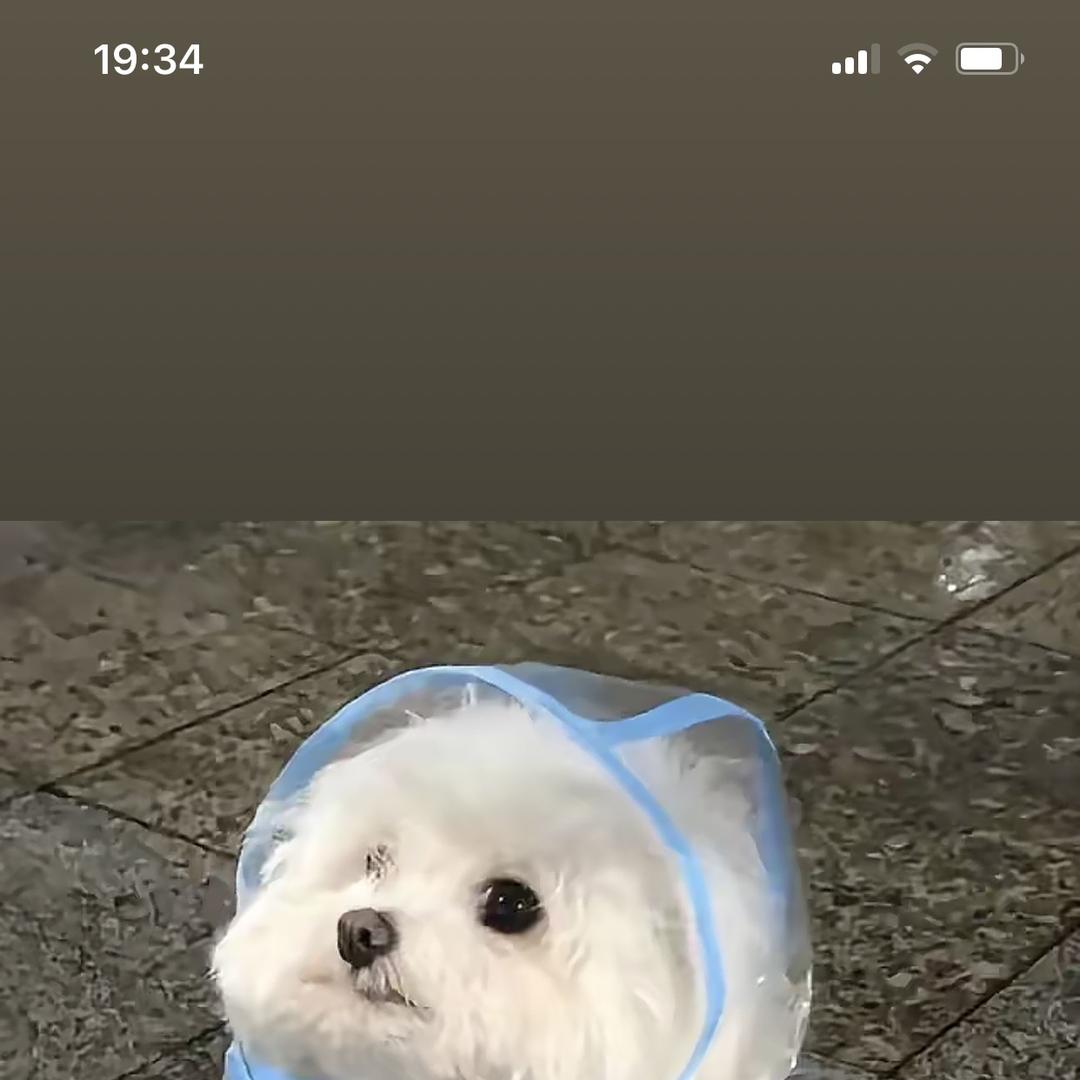 宸铭精品童装