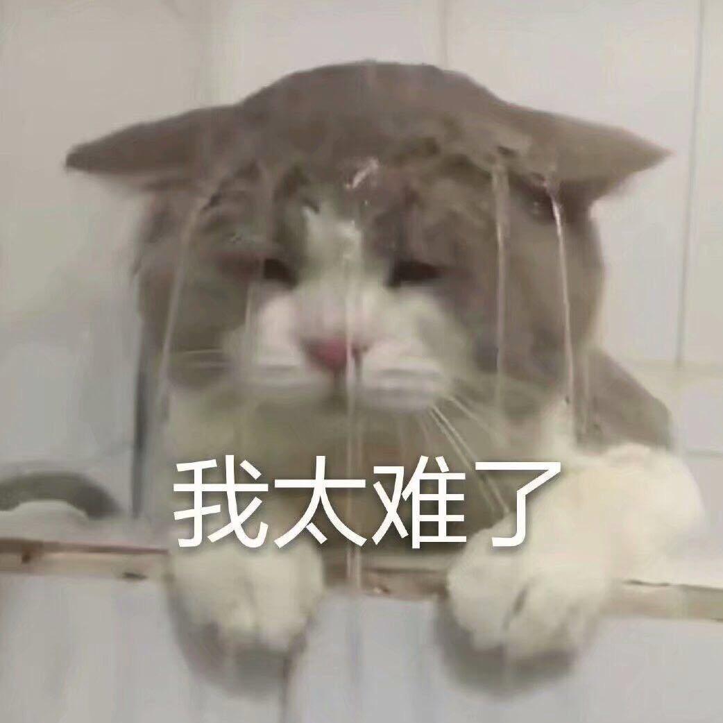 给个关注吧家人们👻