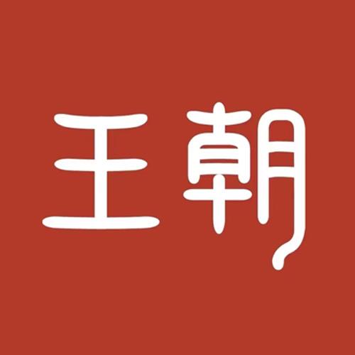 乌海比亚迪王朝